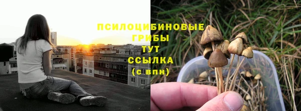 прущая мука Балахна