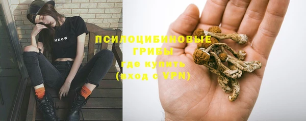гашик Балабаново