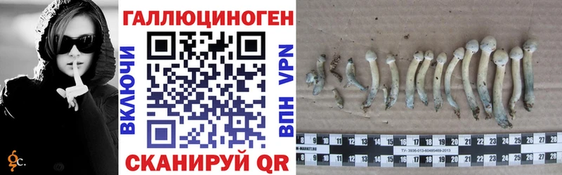 Галлюциногенные грибы Magic Shrooms  цена   Усть-Джегута 